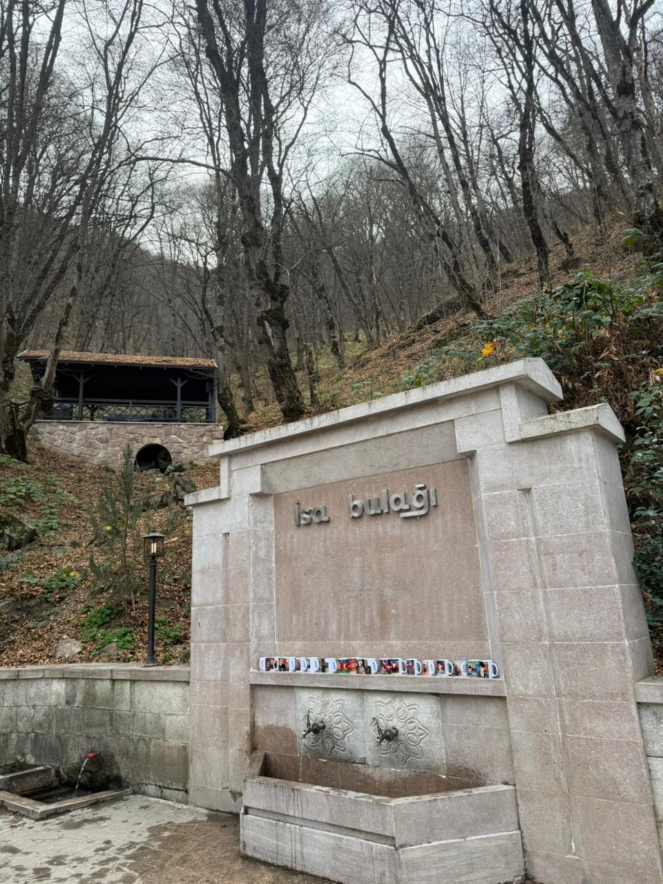 WhatsApp Image 2026-01-30 at 17.54.14 (1)