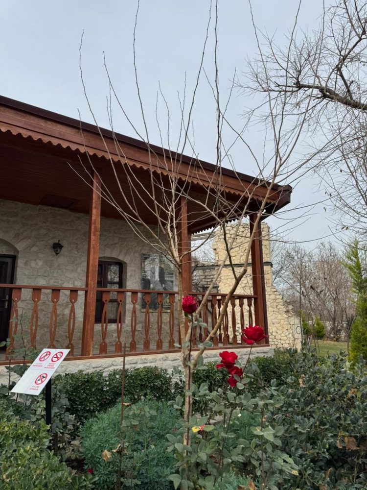 WhatsApp Image 2026-01-30 at 17.54.14 (3)