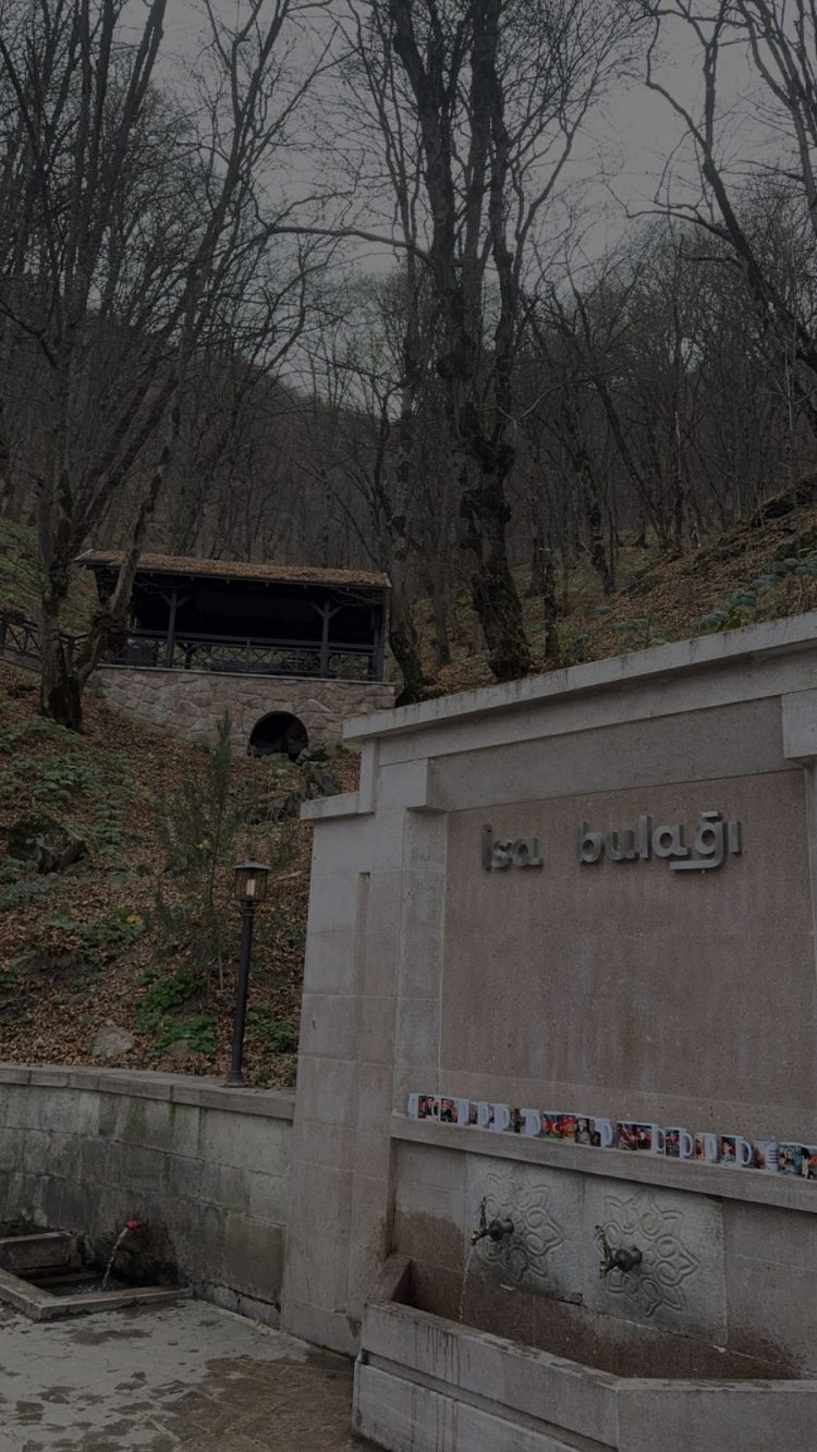 WhatsApp Image 2026-01-30 at 17.54.14