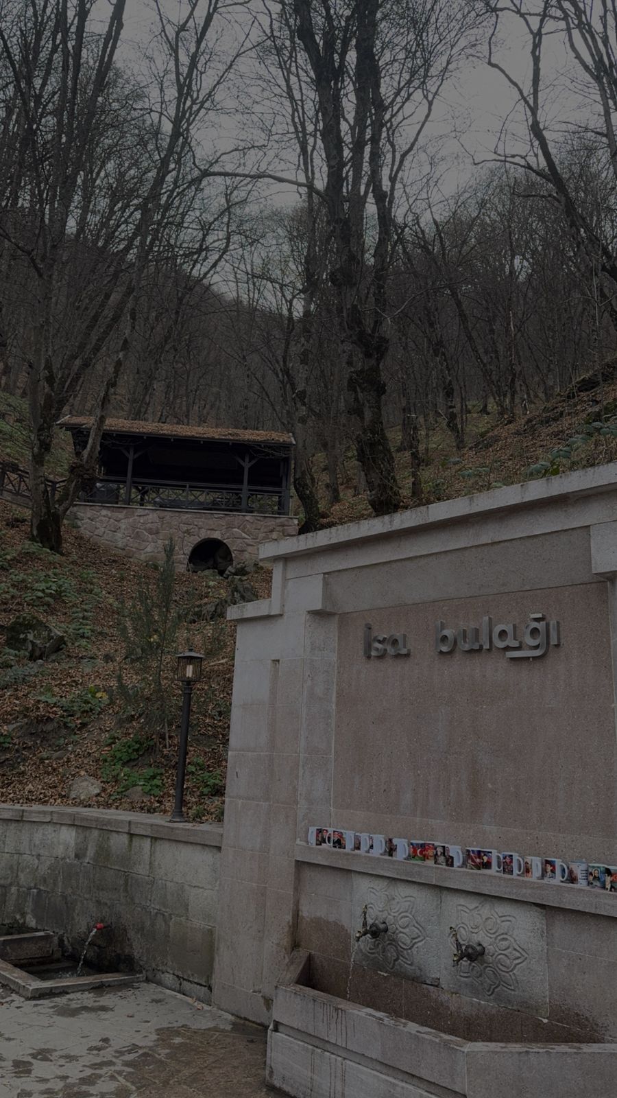 WhatsApp Image 2026-01-30 at 17.54.14