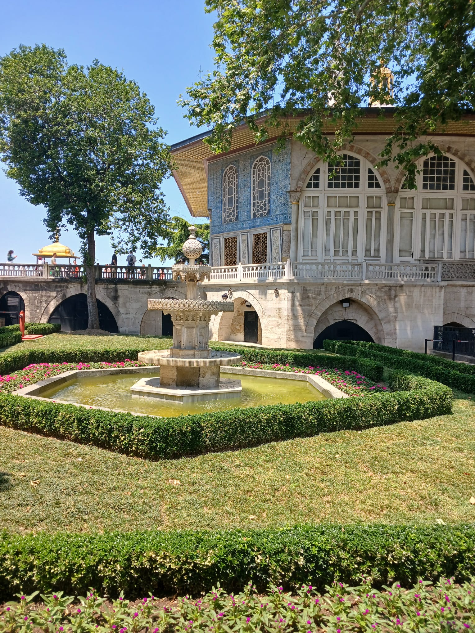 WhatsApp Image 2026-01-30 at 17.55.2