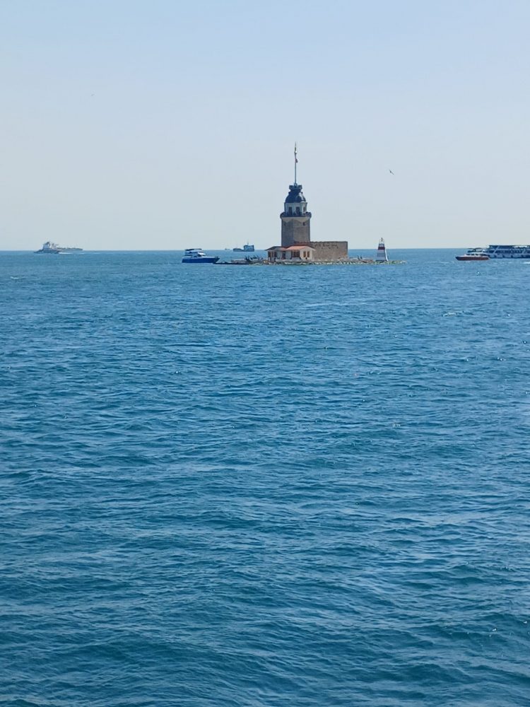 WhatsApp Image 2026-01-30 at 17.55.26 (5