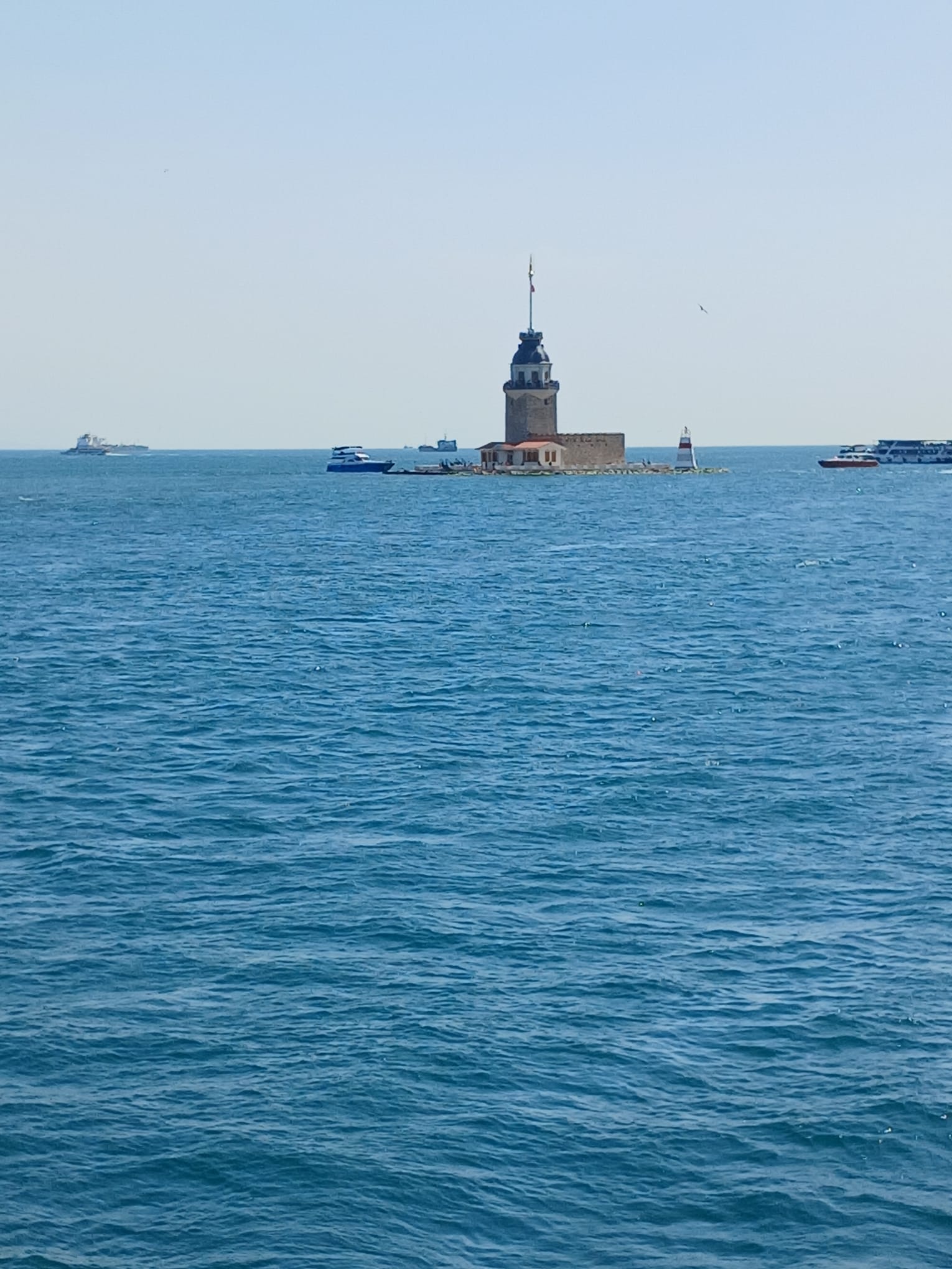 WhatsApp Image 2026-01-30 at 17.55.26 (5